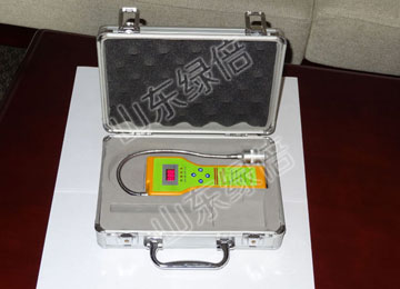 CA-2100H Portable Natural Gas Leak Detector
