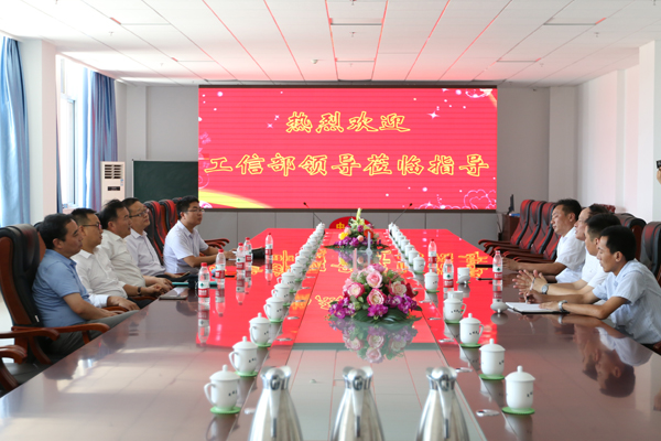 Warmly Welcome Leaders Of Ministry Of Industry And Information Technology (MIIT) To Visit Parent Group of Shandong Lvbei New Energy