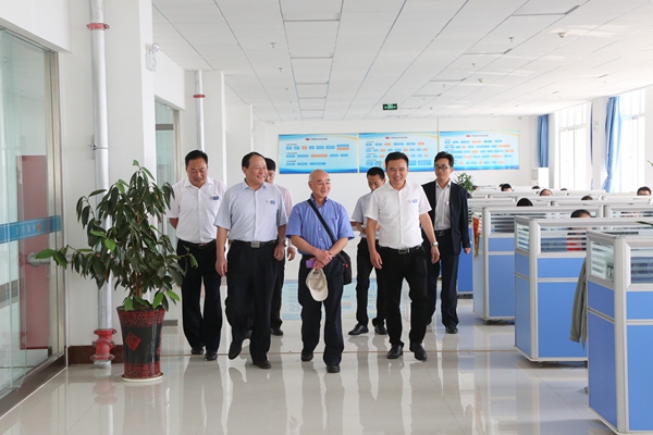 Welcome China Association for Science and Technology Haizhi Plan Experts To Visit Parent Group of Shandong Lvbei New Energy