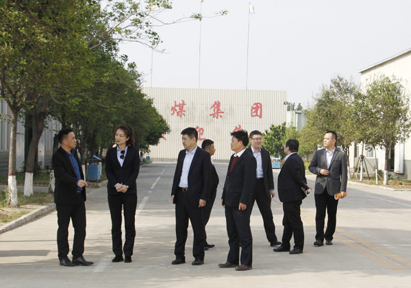 Warmly Welcome Rizhao Bank Leadership To Visit Shandong Lvbei