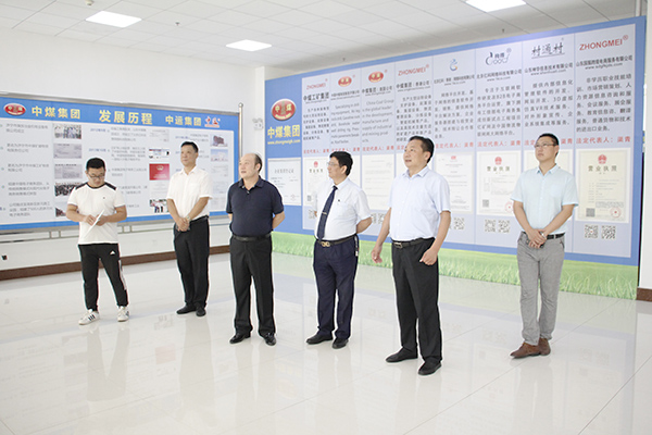 Warmly Welcome The Dongfang Wenbo Cultural Development Co., Ltd. Leaders To Visit Shandong Lvbei For Cooperation