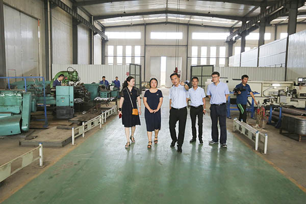 Warmly Welcome ISO9000 Quality Management System Certification Experts To Visit Shandong Lvbei For Annual Certification