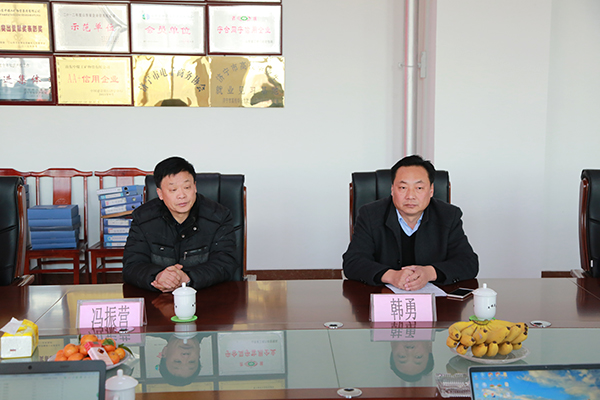 Warmly Welcome The National Coal Safety Expert Group ToShandong Lvbei On-Site Review