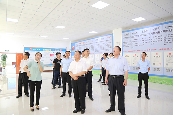 Warmly Welcome Shandong Provincial Statistics Bureau Leaders To Visit The Shandong Lvbei